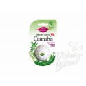 Lūpų balzamas su kanapių sėklų aliejumi, 6 ml