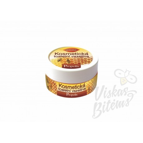 Žolelių balzamas su kaštonais ir medumi + Q10, 300 ml